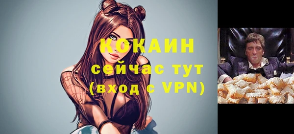 твердый Богородск