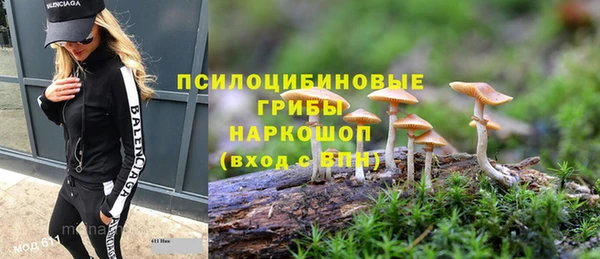 амф Богородицк