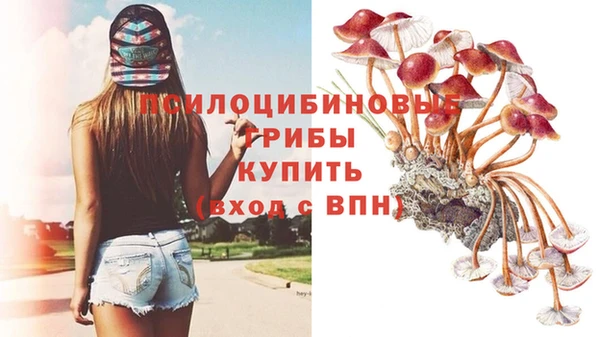 амф Богородицк