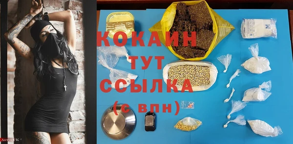 твердый Богородск